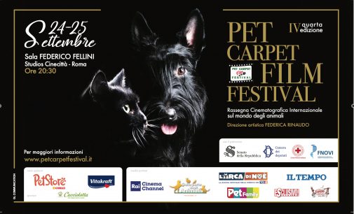 Pet Carpet Film Festival  quarta edizione