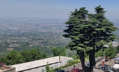 Tre alberi di Rocca Priora entrano nell’Elenco degli alberi monumentali d’Italia