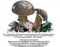 Corso di formazione micologica ottobre 2021