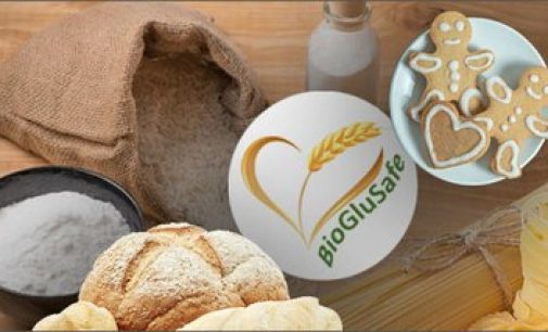 Innovazione: Da ENEA un glutine “detossificato” per alimenti adatti a celiaci e intolleranti