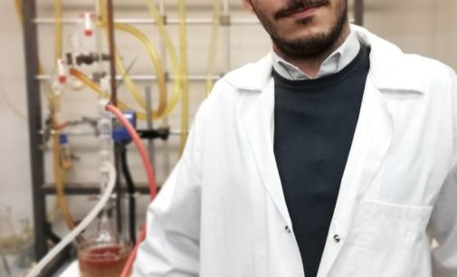 Società Chimica Italiana e Elsevier premiano il giovane ricercatore Daniele Del Giudice dell’Università La Sapienza