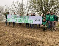 Festa dell’albero, Foresta Che Avanza: “per risollevare una nazione serve avere radici profonde” 