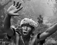 Prorogata “Amazônia” del fotografo Sebastião Salgado, regno e regnanti favolosi e fragili
