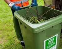 MARINO – PORTA A PORTA ANCHE PER LA RACCOLTA DEL VERDE