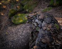 Calcata  Opera Bosco  Museo di Arte nella Natura 2022