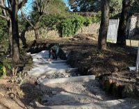 Bosco comunale di Zagarolo, procedono spediti i lavori di riqualificazione