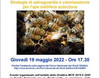 PROGETTO BEE SAFE: TUTELARE GLI INSETTI IMPOLLINATORI NEL PARCO NAZIONALE DEI MONTI SIBILLINI