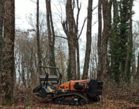 Gli Habitat del Vivaro corrono un serio pericolo