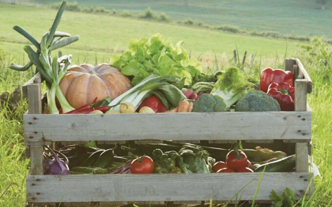 Agricoltura ed alimentazione bioregionale