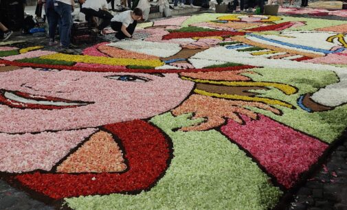 245a Edizione della Infiorata di Genzano, 10/11/12 giugno