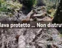 Andava protetto non distrutto