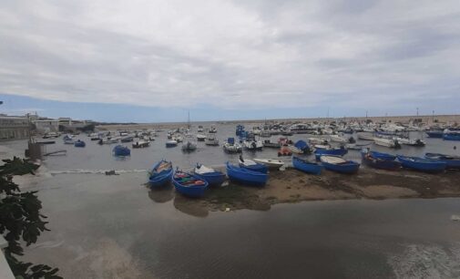 IL PORTO DI TORRE  A MARE