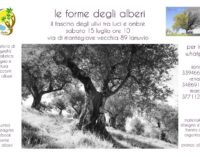 “Le forme degli alberi”: giornata fotografica a Montegiove, Lanuvio