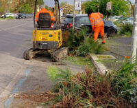 Aree verdi a Ciampino, al via messa a dimora nuovi alberi