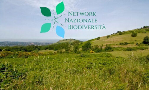 Adesione del Parco al Network Nazionale della Biodiversità