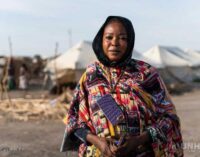 Rifugiati, UNHCR: Presentato il nuovo Rapporto Global Trends