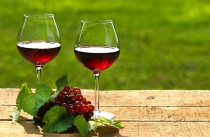 ‘Crea il tuo vino’: il manuale utile al cantiniere e all’enologo