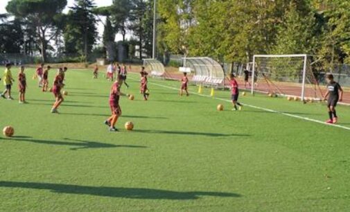 ASD Frascati, la forza della scuola calcio non solo nei numeri