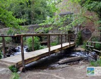 Le cascate di Monte Gelato