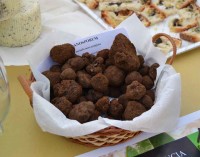 XIX edizione “Nero Carpineto – Tartufo In Festa”