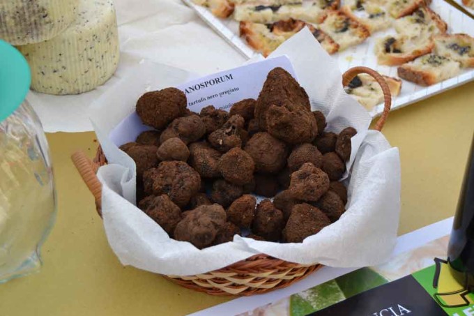 XIX edizione “Nero Carpineto – Tartufo In Festa”