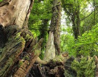 Il Parco ti aspetta, rispettalo!