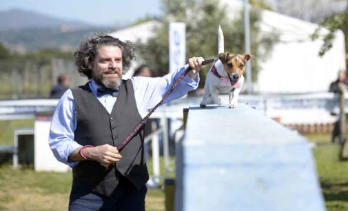 Migliaia di appassionati di Jack Russiel Terrier a Roma