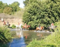 Il giornale del Parco del Treja