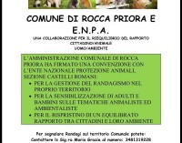 Rocca Priora – Prevenzione e contrasto del randagismo