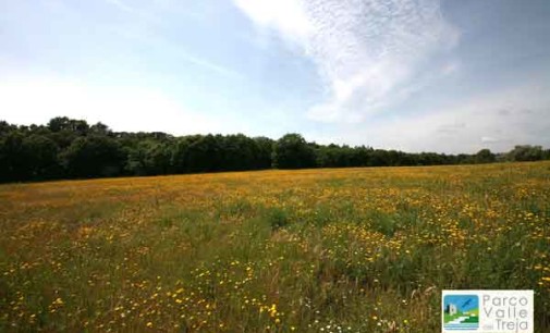 L’esplosione delle fioriture L’aria delle campagne del Treja