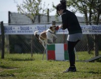 Secondo raduno nazionale Jack Russel Terrier Italia