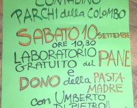 Dono della pasta madre e laboratorio del pane al Mercato Contadino Castelli Romani