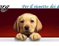 10 Associazioni animaliste in presidio informativo