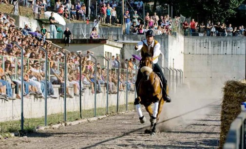 Pallio della Carriera: il 4 settembre Corsa Equestre all’Anulo Aereo 2016