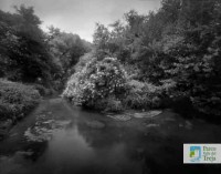 Scatole del tempo – Natura, Spazio e Tempo nella mostra fotografica di Enrico Mariani