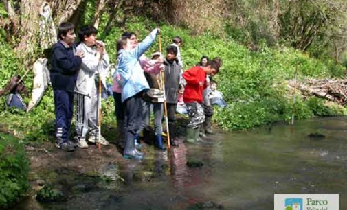 Parco Valle del Treja – Domenica 30 ottobre visita guidata per bambini