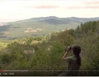 A volo di uccello nella Riserva Naturale Monte Rufeno e nel Bosco del Sasseto