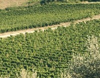 A VinNatur Roma, sabato 12 novembre, dibattito sul futuro del vino naturale