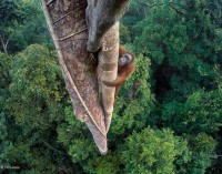 La natura protagonista delle più belle fotografie d’autore del 2016