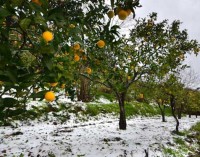 Neve e gelo, il Sud Italia comincia l’anno al freddo