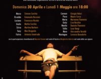 Nuovo Teatro San Paolo – Notte da pinguini