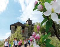 Quattro ville in fiore… è la primavera ha inizio in Val di Non