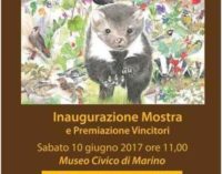 Concorso di disegno naturalistico “Maria Vittoria Croce, la natura con gli occhi del cuore”