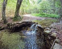 Cardinale (Cz), domenica 13 agosto, seconda edizione del “Trekking day”,