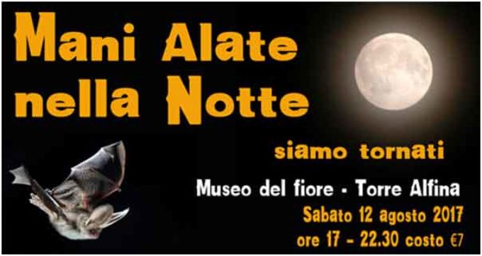 Museo del fiore – Torre Alfina – Mani alate nella notte … siamo tornati