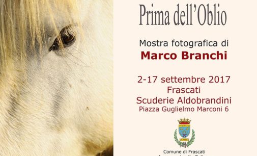 ‘Prima dell’Oblio’, immagini di Marco Branchi