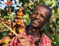 Commercio equo certificato Fairtrade: vendite globali a 7,8 mld di euro