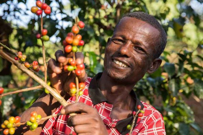 Commercio equo certificato Fairtrade: vendite globali a 7,8 mld di euro