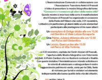 Frascati, arriva la Festa dell’Albero