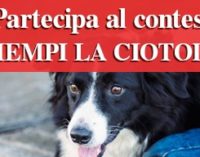 E’ partita la più grande iniziativa di solidarietà a favore di cani e gatti